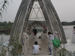 -大塘金香草谷