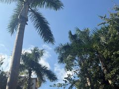 -润泽园椰子鸡(汇一城店)