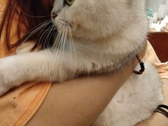 -万小咖.猫咖(中山路天虹店)