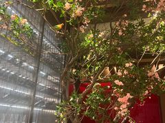 -星·South Beauty·俏江南(国贸店)