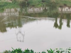 -枫香湖儿童公园