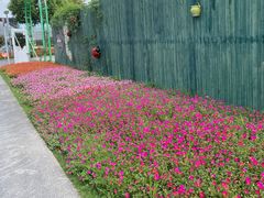 -菊园百果园