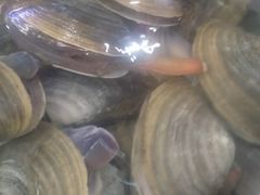 -小铜锣湾海鲜家常菜馆(河西店)