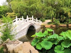 -武清南湖绿博园