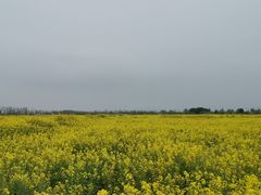 -漩门湾国家湿地公园