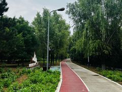 -绿堤公园