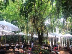 -Fern Forest Cafe