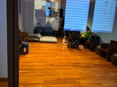 -米兰马尔彭萨国际机场