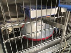 -奈斯宠物医院·核磁CT·异宠专科·内镜(中南店)