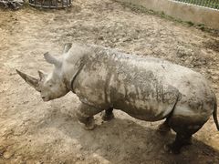 -哈尔滨北方森林动物园