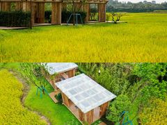 -中国天府农业博览园