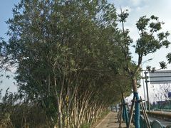 -上海海事大学(临港校区)