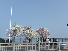 -阳澄湖半岛旅游度假区