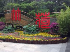 iphone_upload_pic-紫竹院公园冰场