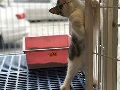 -我爱吾宠宠物美容院(朝阳路店)