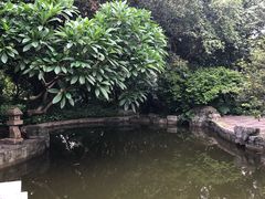 -黄埔荔枝公园