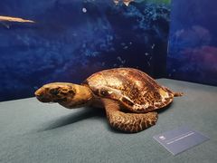 -上海中国航海博物馆