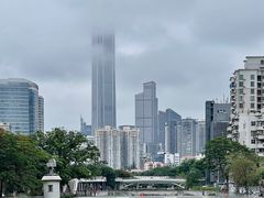 -福田红树林生态公园
