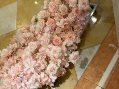 -洛阳宴·洛阳菜(南昌路店)