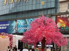 -北京利生体育商厦