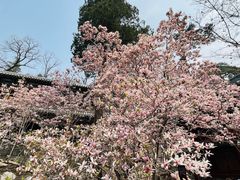 -潭柘寺景区