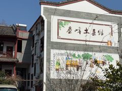 -长沙黑麋峰国家森林公园
