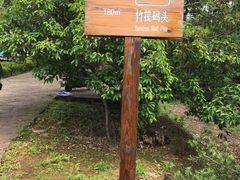 -九曲溪竹筏码头