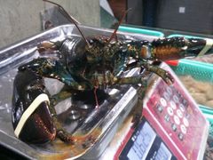 蓝海岸霞浦海鲜-渔傅·蓝海岸霞浦海鲜(正祥店)