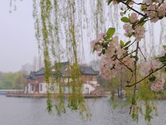 -莫愁湖公园