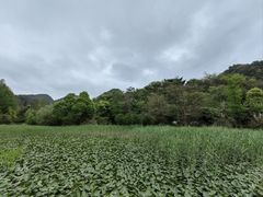 -贵阳市花溪国家城市湿地公园