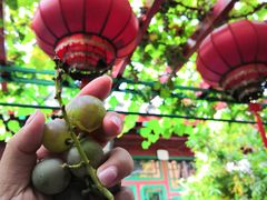 -顺承小院儿