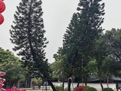 -荔湾湖公园