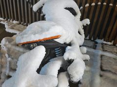 -孟记粥铺·家常菜·烧烤·粥(亚运村店)