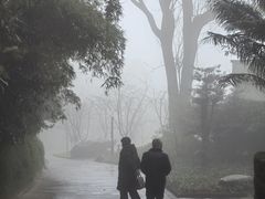 -南山植物园