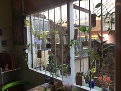 -大王油茶(磁器口店)