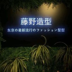 点击看大图 -藤野造型