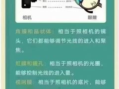 -宝视达眼镜(周口市广场店)