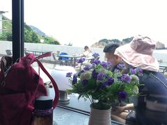 -枸杞岛