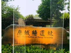 -唐城墙遗址公园
