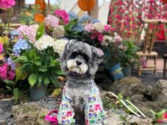 -巴倒烫陆派火锅山庄(南山总店)