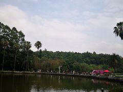 -南国桃园旅游度假区