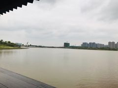 -九龙湖公园