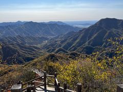 -大岭沟猕猴桃谷风景区