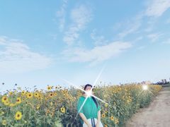 -汉长安城未央宫国家考古遗址公园