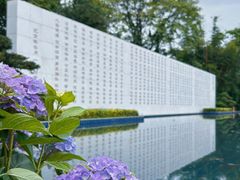 -广西壮族自治区药用植物园