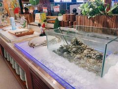 -悦橙烤肉海鲜自助(中央大街店)