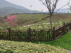 -石塘人家