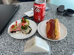 -虹桥机场国航贵宾室v8