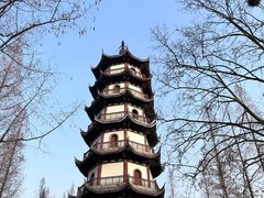 -桃花岛公园