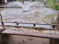 -同銮特种养殖场·龙虾垂钓